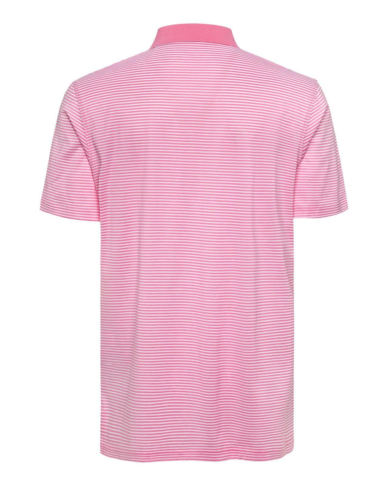 The Polo Club Men's Fine Mercerized Cotton Polo in Peppermint/White