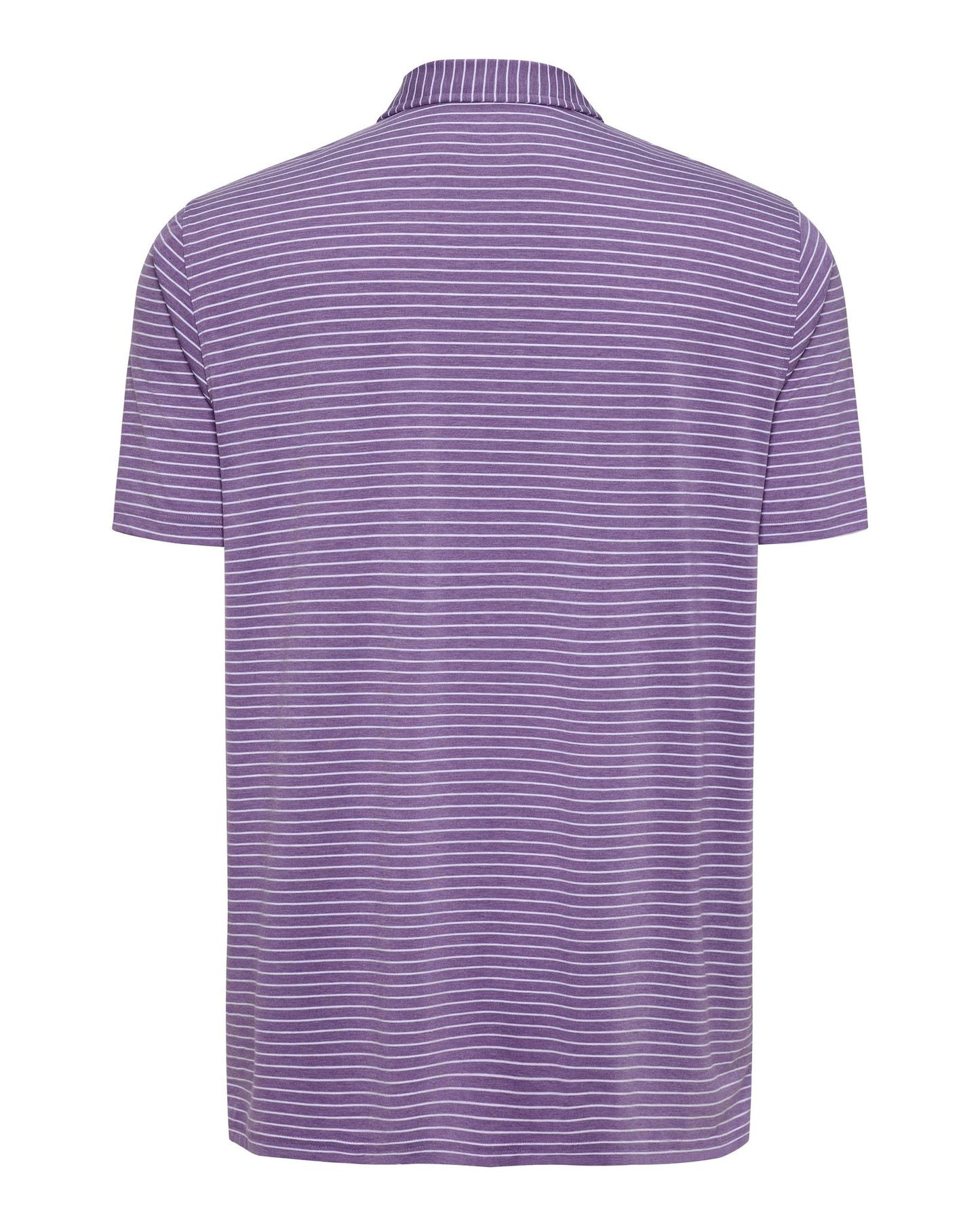 The Polo Club Men's Cloud Striped Polo Purple