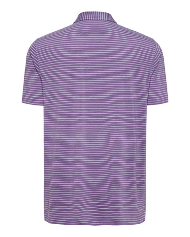 The Polo Club Men's Cloud Striped Polo Purple