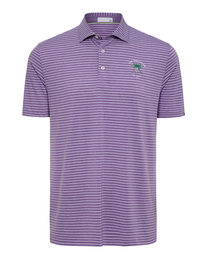 The Polo Club Men's Cloud Striped Polo Purple